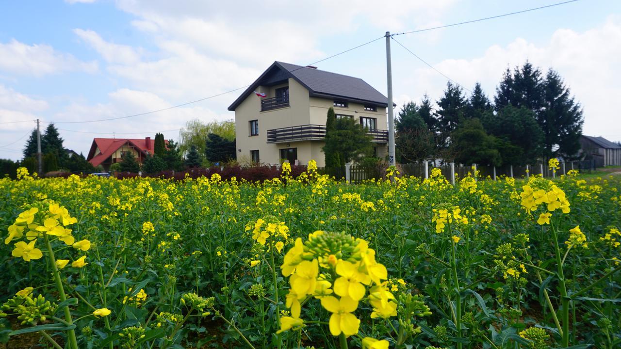 Swierkowy Naleczow Exterior photo